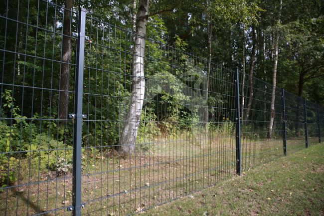 2D žoga segments, 2,5x1,23 m, 200x50 mm, ø6/5/6 mm, ZN+RAL7016