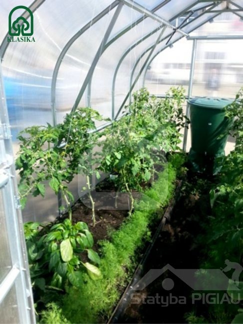 Siltumnīca KLASIKA STANDART 2,5m x 4m (10m²)